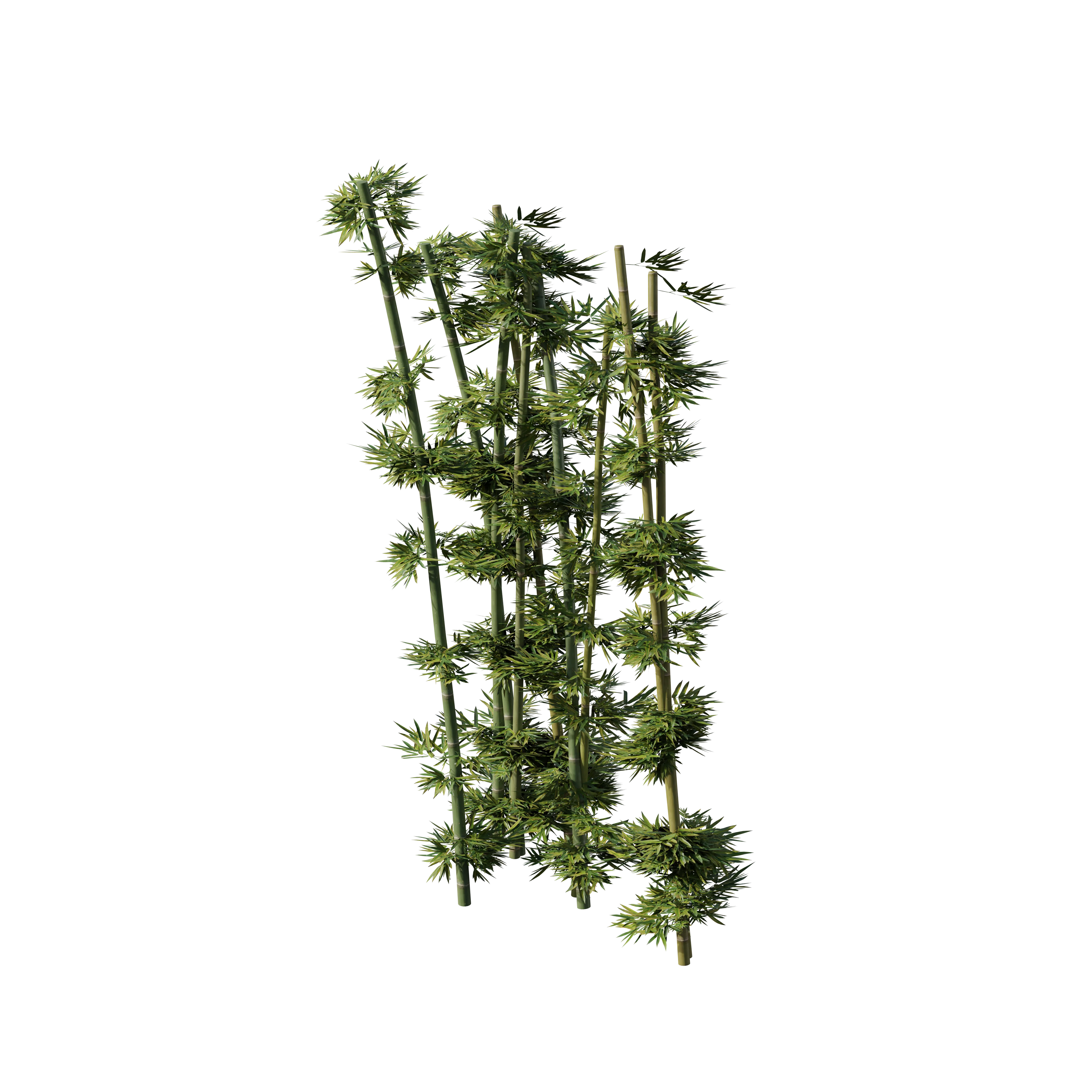 Shogun - Image 70